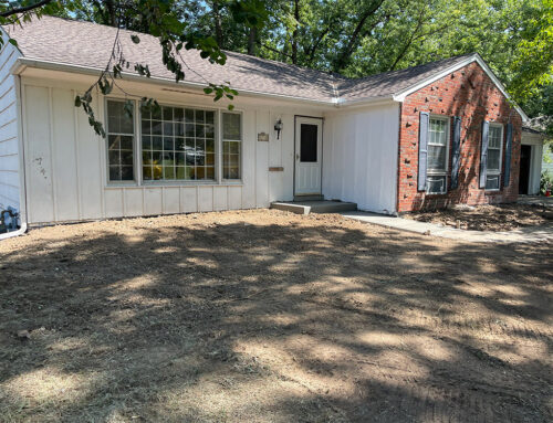 Where can I get some?